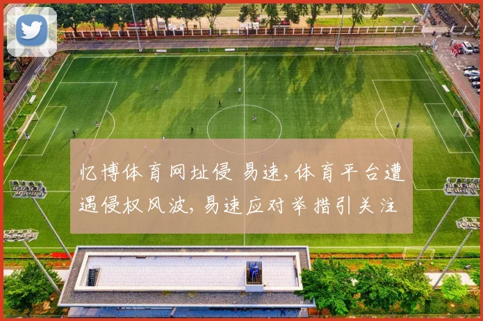 忆博体育网址侵 易速,体育平台遭遇侵权风波,易速应对举措引关注