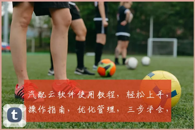 汽配云软件使用教程，轻松上手，操作指南，优化管理，三步学会，助力企业高效运营