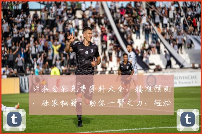 六和合彩免费资料大全，精准预测，独家秘籍，助你一臂之力，轻松中奖